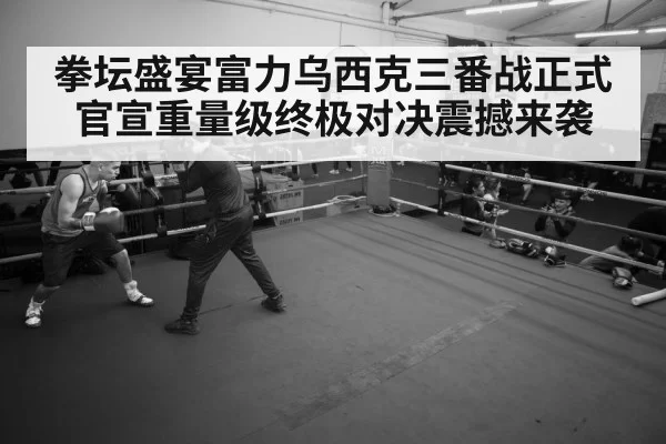 boxer training session