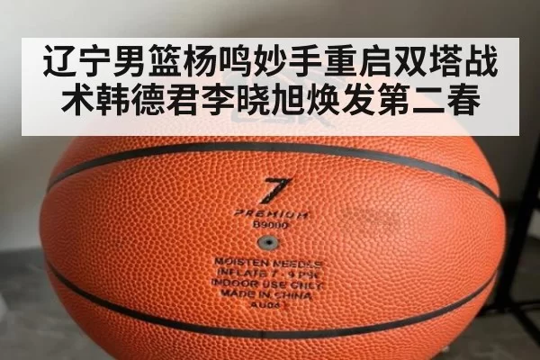 辽宁男篮杨鸣妙手重启双塔战术韩德君李晓旭焕发第二春